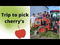 Cherry picking