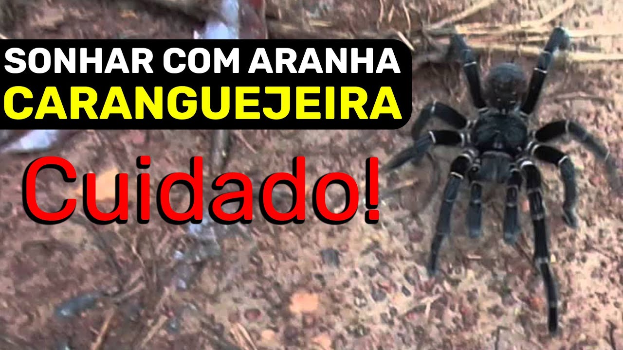 O que Significa SONHAR com ARANHA?