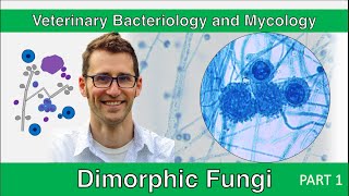 Dimorphic Fungi (Part 1) - Veterinary Bacteriology and Mycology