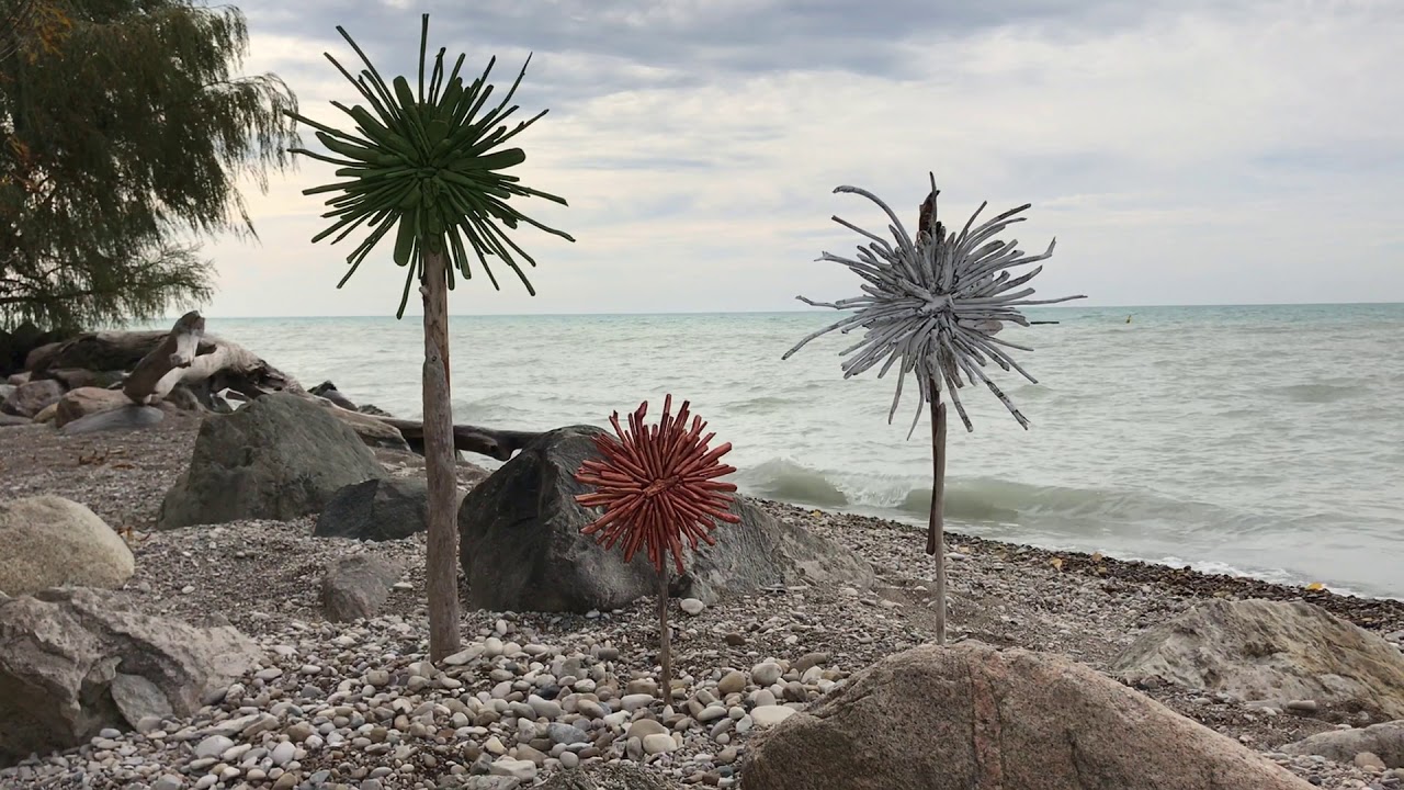 Vermilion Sunset Studio driftwood flowers in full bloom YouTube