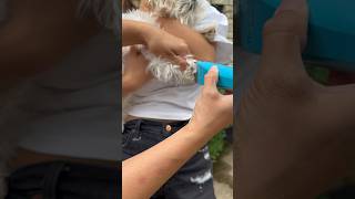 ￼#Dog bites not serious until you get bit & in the #ER fighting to #live. MYFAVORITEGROOMER.com