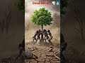 Tribal Survival in the Dead Desert 🌪️💧 #TribalLife #SurvivalStory #DesertStorm #CinematicVideo