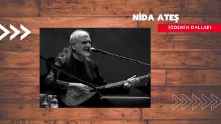 Nida ATEŞ -İğdenin dalları Resimi