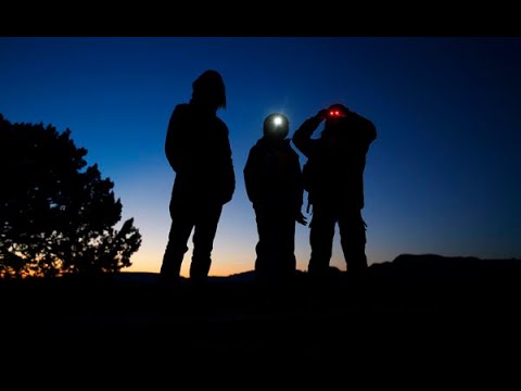 ამო-ს (UFO) ძებნაში