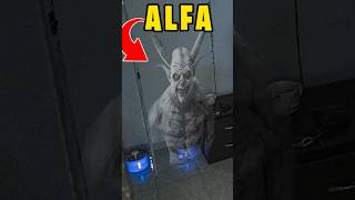 El Demonio De Alfa De Fede Vigevani Aparece A Las 3 Am