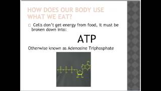 Energy systems and the body