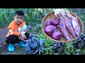 Little boy Seyhak cook purple cabbage with squids / Chef Seyhak cooks with confidence