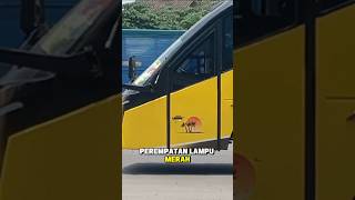 penampakan bus aneh dan sangat unik di jalur Pantura kawasan alas roban