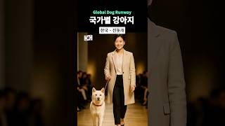 국가별 강아지 런웨이 (Global Dog Runway)