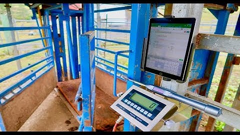 AgriEID Cattle Scales - Build your own Platform and Install in less than 30 minutes.