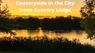 Contryside in the City Irene Country Lodge