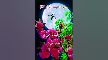 سورة الأنبياء | #quran #قرآن #islam #islamic #islamicvideo #islamicstatus #اكسبلور #duet #لايك