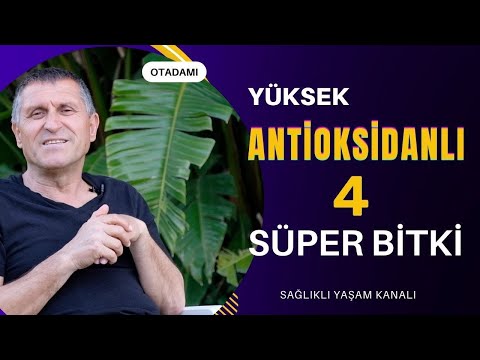 ANTİOKSİDAN NE İŞE