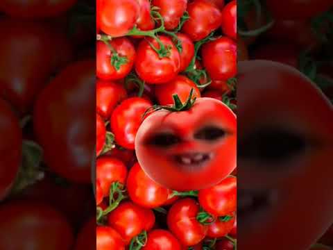 بوم بوم خضروات