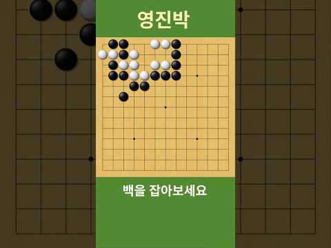 바둑 묘수 사활 ( 첫수가 절묘!) 백을 잡아보세요