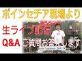 ポインセチアの育て方生ライブQ&A