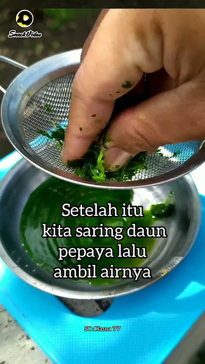 cara mengatasi rambut beruban dengan secara alami #khasiat #daunpepaya #uban #alami #sehat