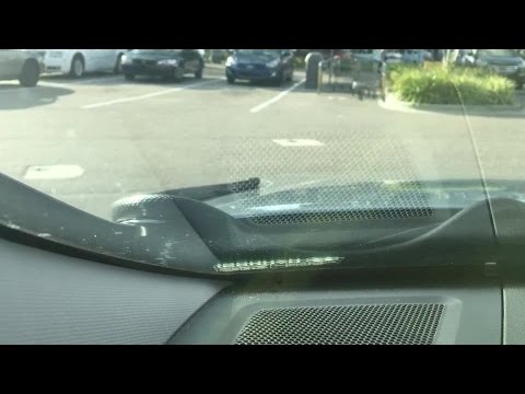 WATCH: Large snake hitches ride on Fla. man's car