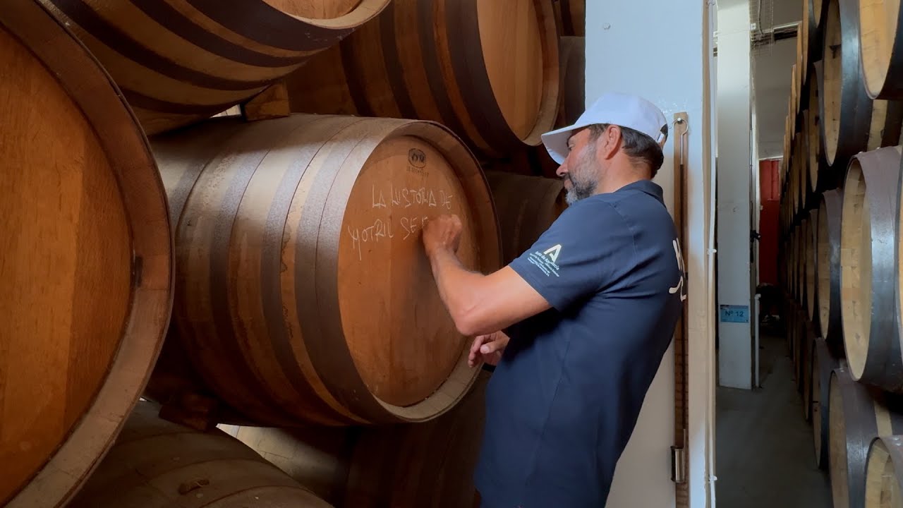 T 02. CAPITULO 10 MARINA DEL ESTE - MOTRIL