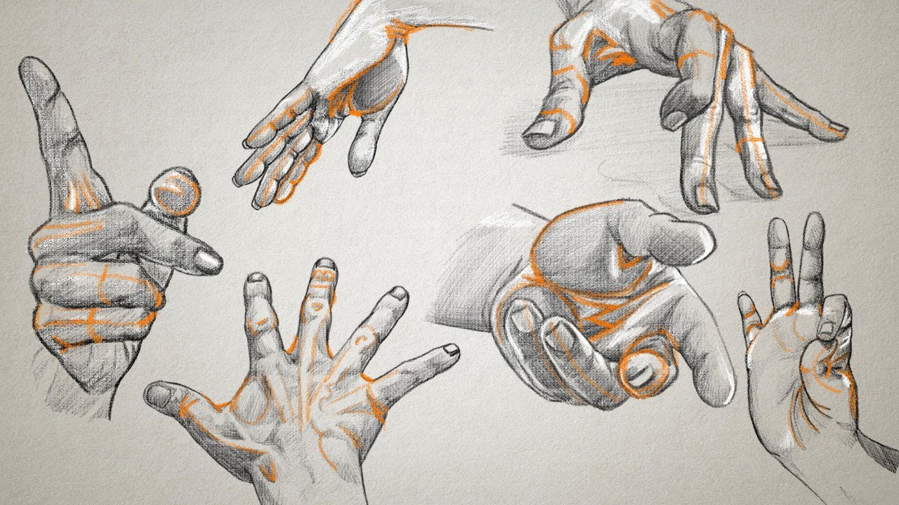 Развить кисти рук. Наброски кистей рук. Кисти рук скетч. Анатомия рук для рисования. Рука рисунок.