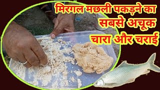 मरगल मछल क अचक चर और चरई Mirgal Fish Bait Rohu Dan Fish Bait R95Fishing