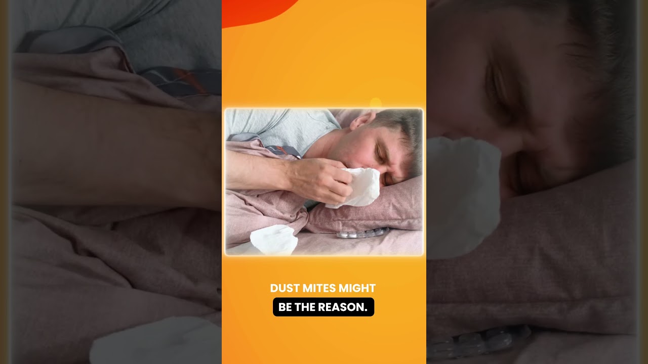 Waking Up With Allergies? This Could Be Why!