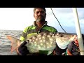 Catching Cobia & Diamond trevally, Snapper fish in Deep sea