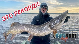 THIS IS A MONSTER, not a fish !!! RECORD PIKE !! Fishing with #OnlySpin