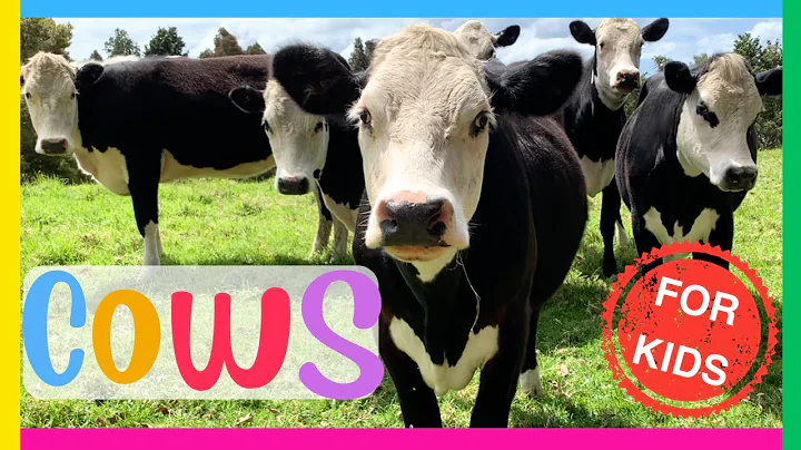 🐮COWS for Kids🐄 Interesting Facts about COWS🐮 Educational video for kids
