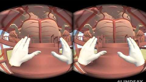 The Giant Walkthrough Brain with Oculus Rift