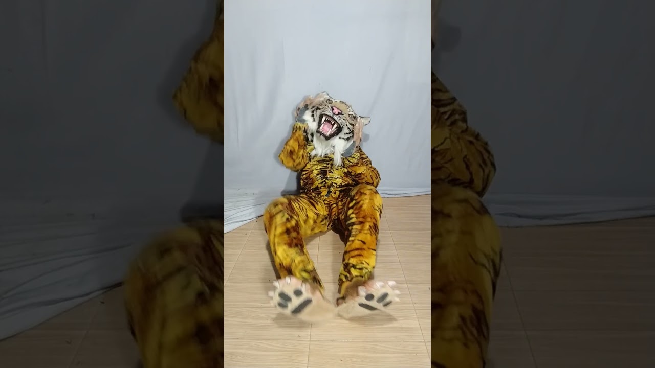 stuck in Tiger costume