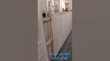 انشوده صلوا على نور ربنا الهادى البشير 