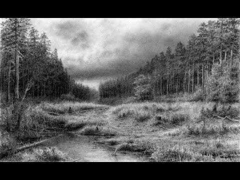 Video: How To Draw A Forest With A Pencil