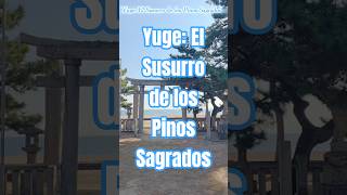 Yuge: El Susurro de los Pinos Sagrados — por el Caminante del Mar #shorts #travel