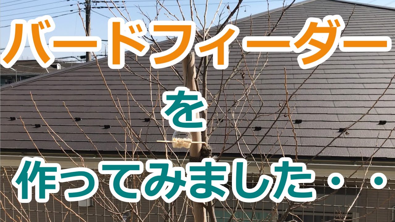 バードフィーダーを作ってみました
