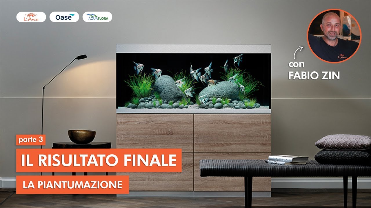 LA PIANTUMAZIONE DI UN ACQUARIO D’ACQUA DOLCE | AQUASCAPE | SEMPLICEMENTE ACQUARIO pt. 3 🌿💧