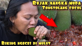 RUJAK NANGKA MUDA BIKIN NGECES