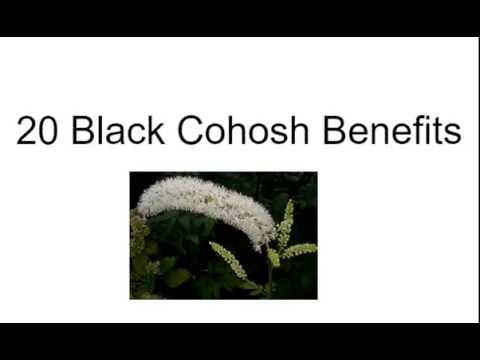 Black Cohosh Benefits