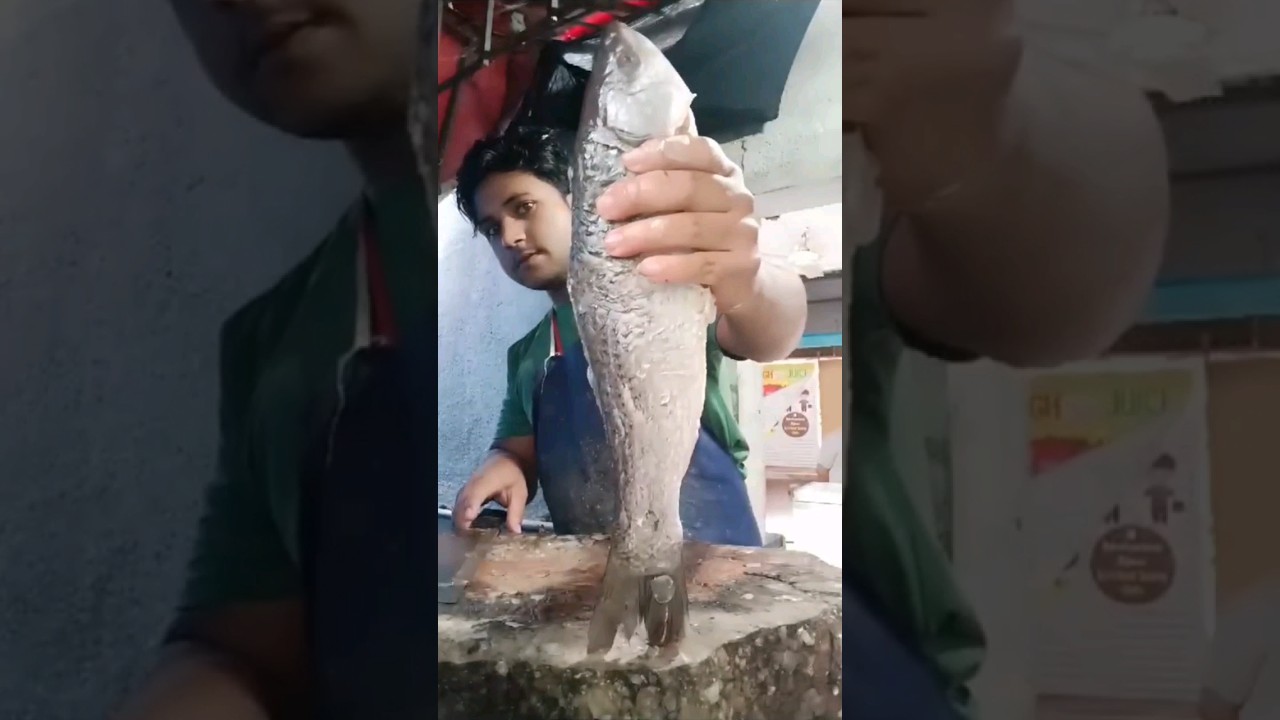 amazing rui fish cutting skills