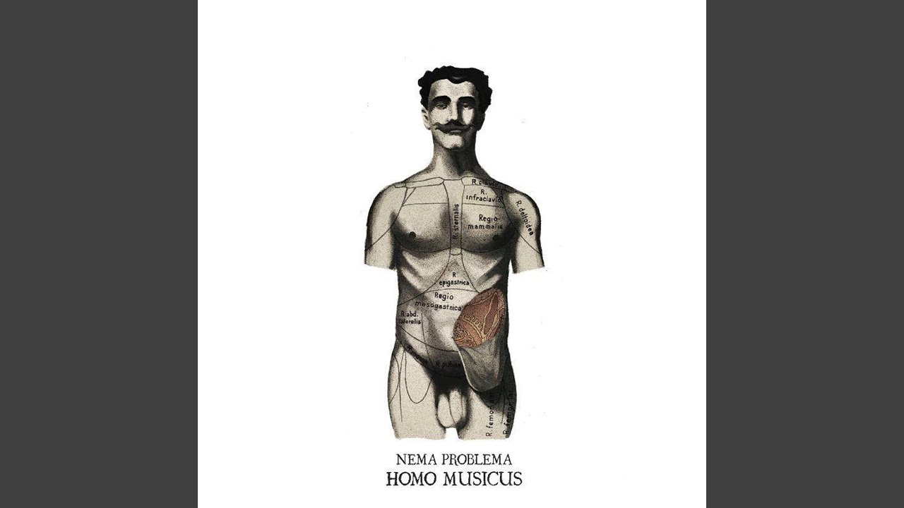 Boogie Stop Shuffle video phone beyonce mp3