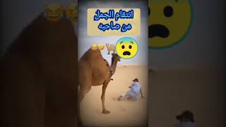 جمل ينتقم  #makeuptutorial #lifestyle #art #makeupvideo #healtcoach #camels #trending #1million