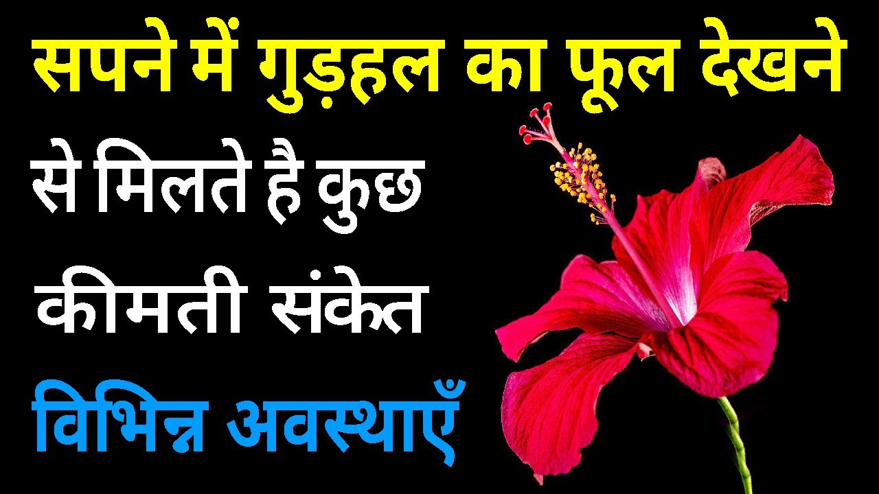 Sapne Me Gudhal Ka Phool Dekhna Seeing Gudhal In Dream Gudhal Ke 