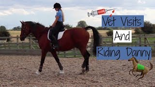 Vlog | Vet Visits & Riding Danny