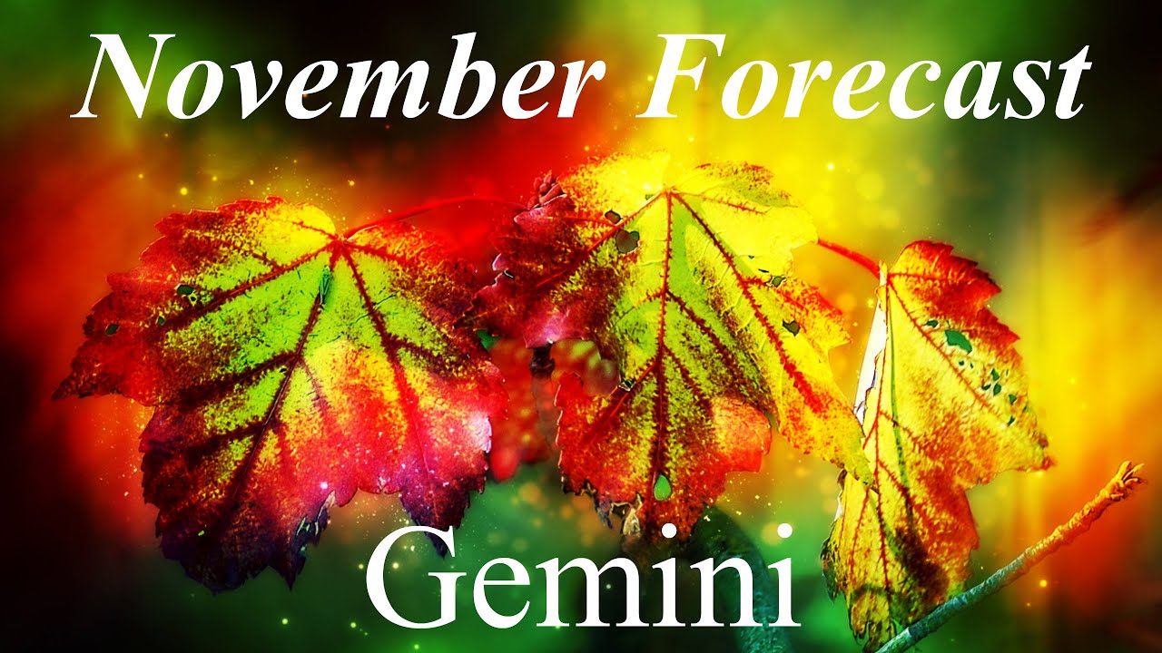 ♊️Gemini ~ A New Path After A Hard Loss In The Past 🍁 November 2020 Forecast