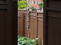 Look What I Just Stumbled Upon in the Backyard
