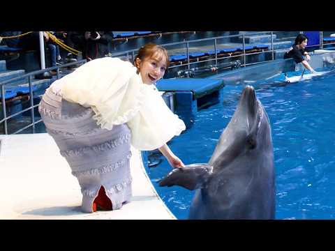 水族館にももクロ百田さん登場