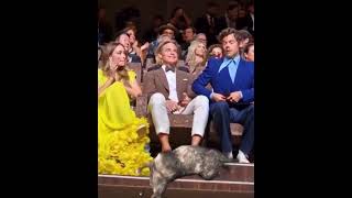 BREAKING NEWS!! Harry Styles throws GOAT on Chris Pine @  Venice film festival!!! 😱😱