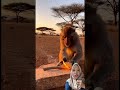 Kalilawar #youtubeshorts #funny