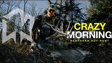 THIS is why I love BOW HUNTING!