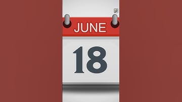 Quick Alpine Swift Facts - The FOREVER Flyer - Animal a Day #shorts #animals